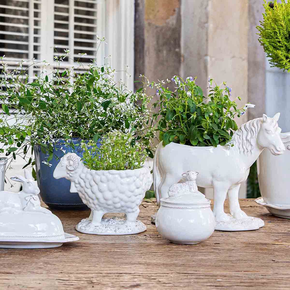 Clever Creatures Turtle Salt and Pepper Set/2pc - Image 4